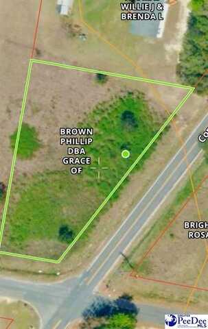 Beaver Dam Rd, Wallace, SC 29596