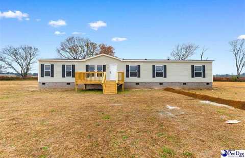 2424 Nature Drive, Latta, SC 29565