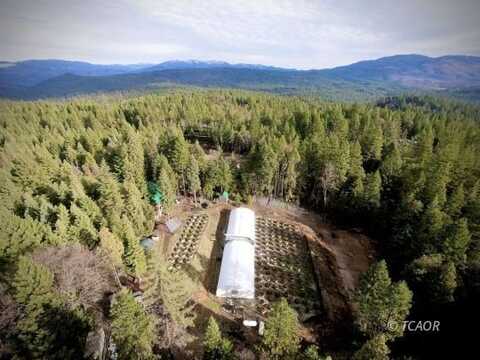 991 Live Oak Rd, Hayfork, CA 96041