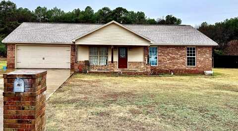 170 Letta Drive, Pottsville, AR 72858