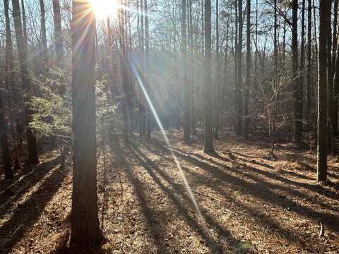 940 Crockett Point, Jasper, TN 37347