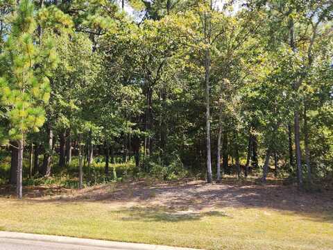 230 Birch Tree Circle, Aiken, SC 29803