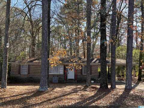 117 LAKE DRIVE, BIRMINGHAM, AL 35215