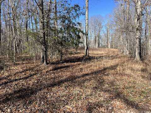 Fern Hill Road, Pikeville, TN 37367
