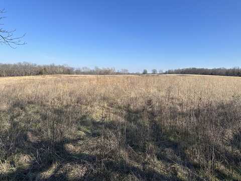 000 N Farm Road 45, Bois D Arc, MO 65612