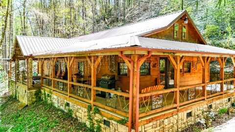 8540 Towns End Lane, Townsend, TN 37882