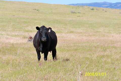 Tbd Indian Valley Road, Indian Valley, ID 83632