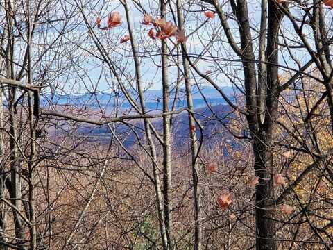 0 Taylor Mountain Road, Thaxton, VA 24174