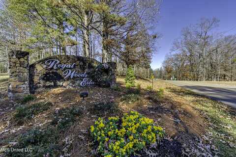 0 Suzanna Drive, Raymond, MS 39154