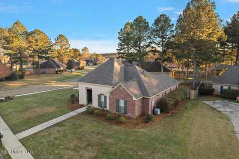 101 Cedar Green Cove, Canton, MS 39046