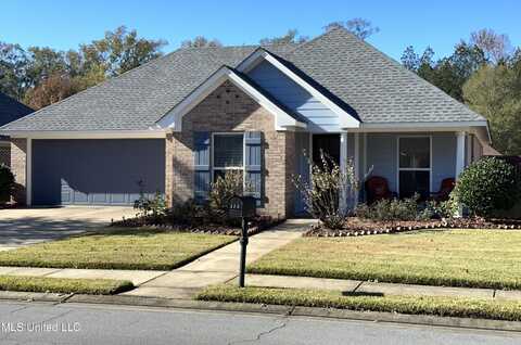 173 Blackstone Circle, Brandon, MS 39047