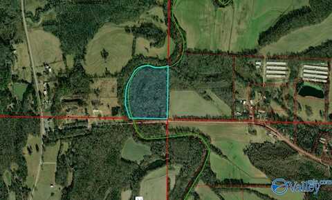 21 Acres County Road 236, Town Creek, AL 35672