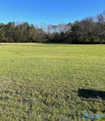 22.6 Acres Berkley Road, Gurley, AL 35748