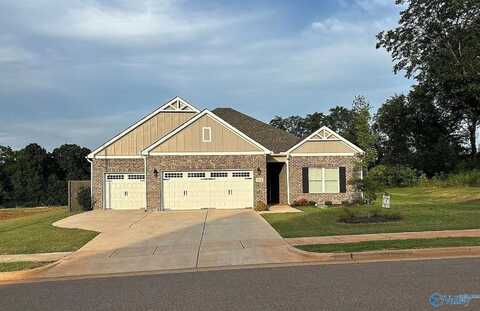 113 Nuckolls Lane, Meridianville, AL 35759