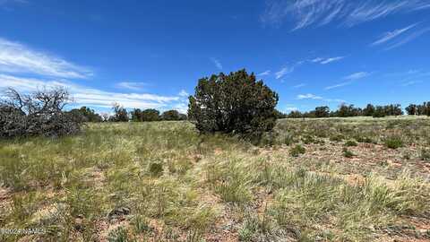 5634 N Alta Villa Road, Williams, AZ 86046