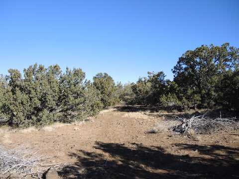 627 E Hualpai Trail, Williams, AZ 86046