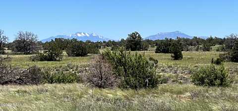 5614 N Alta Villa Road, Williams, AZ 86046