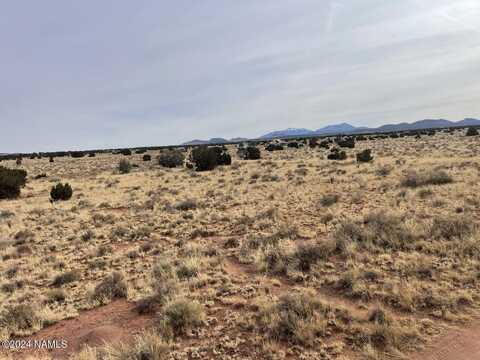 3159 S Avondale Road, Williams, AZ 86046