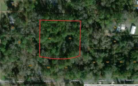 000 UNNAMED, White Springs, FL 32096