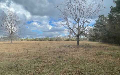 TBD HOGAN ROAD (35.34), Wellborn, FL 32094