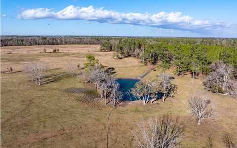 TBD HOGAN ROAD (18.11), Wellborn, FL 32094