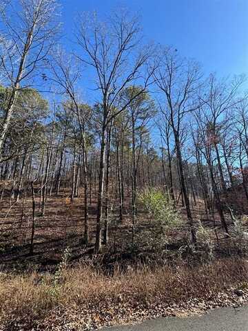 158 Western Maple Trail, Broken Bow, OK 74728