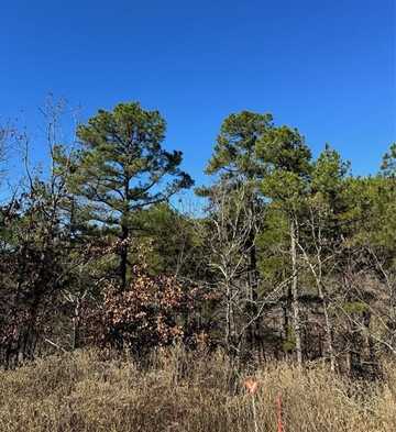 43 Western Maple Court, Broken Bow, OK 74728