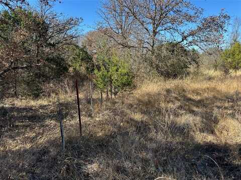 102 Sean Lane, Bangs, TX 76823