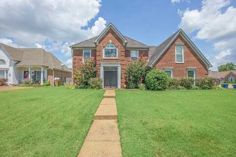 Chalkwell, CORDOVA, TN 38016