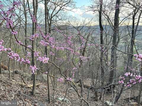 Smedley, BENTONVILLE, VA 22610