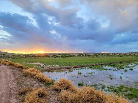 Sevilleta Hills Elk Ranch, Socorro, NM 87831