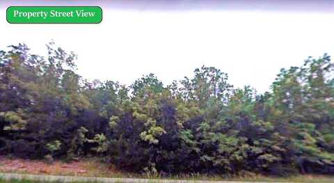 Shore, HORSESHOE BEND, AR 72512