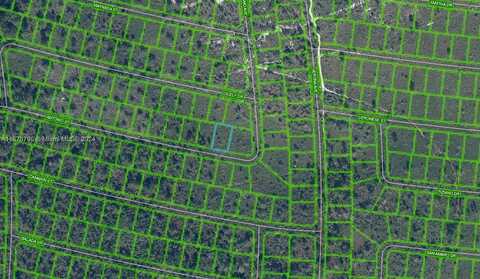Antonio, SEBRING, FL 33872