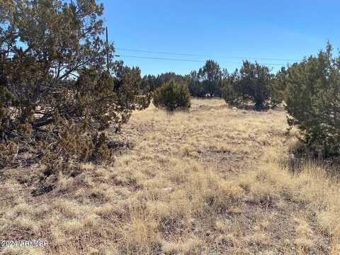 Snowflake, SHOW LOW, AZ 85901