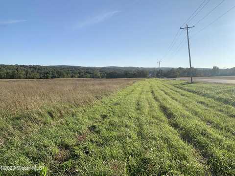 Lot 5 Ny 30, Esperance, NY 12066