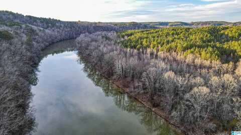 River Crest Drive, Cordova, AL 35550