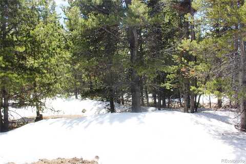 Group 6-6 Lamartine Road, Idaho Springs, CO 80452