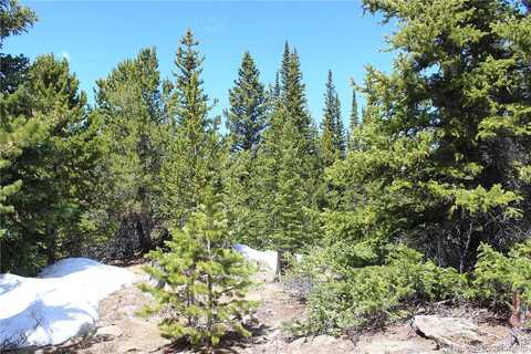 Group 6-3 Lamartine Road, Idaho Springs, CO 80452