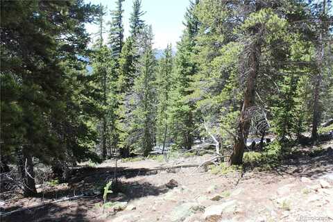 Group 6-2 Lamartine Road, Idaho Springs, CO 80452