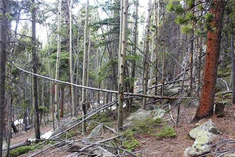 Group 3 Lemartine Road, Idaho Springs, CO 80452