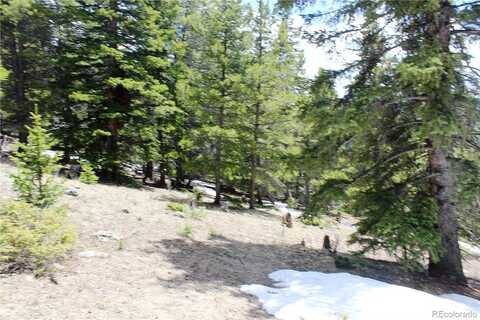 Group 10 Lamartine Road, Idaho Springs, CO 80452