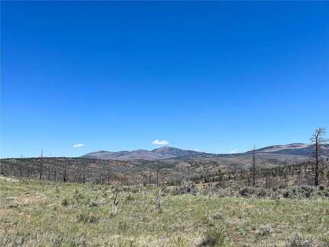 De Montalmbert Road, Fort Garland, CO 81133