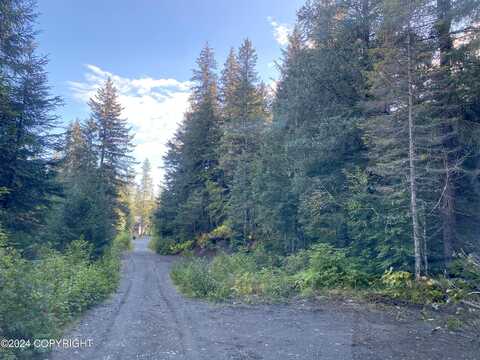 Nhn Maximillian Ct, Seward, AK 99664