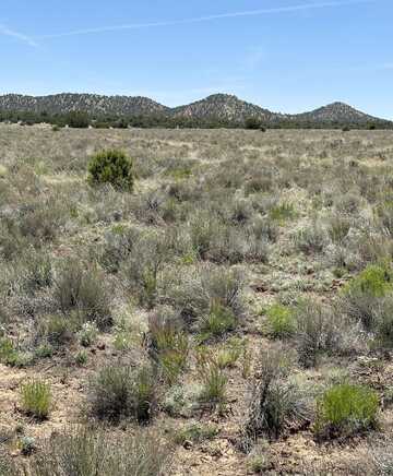 Unk Blue Hills Trail, Pie Town, NM 87827