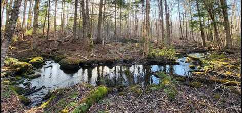 Lot 6 & 7 Morrison Brook Road, Oakfield, ME 04763