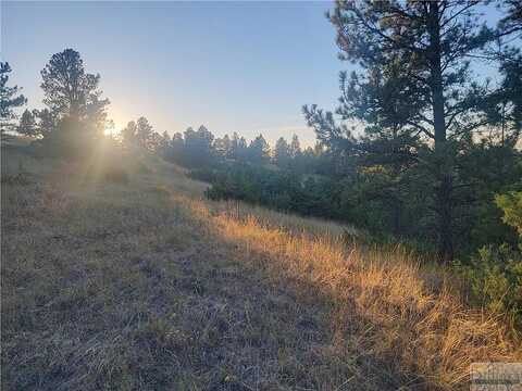 Lot 49 Buckskin Trail, Reed Point, MT 59069