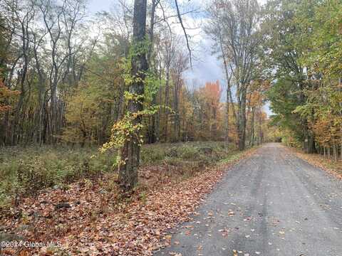 Lot 2 Clickman Road #12193, Westerlo, NY 12193