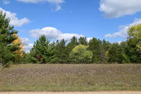 Lot 1 Block 8 Oak Drive, Marion, MN 56438