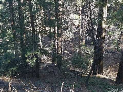Burnt Mill Canyon Rd, Cedarpines Park, CA 92322