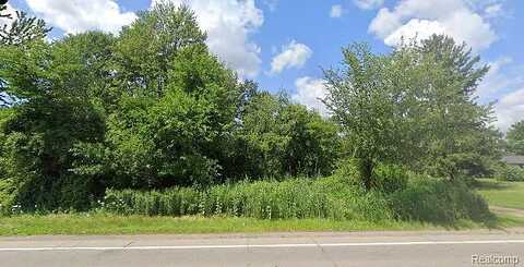 Vacant Wayne Road, Romulus, MI 48174